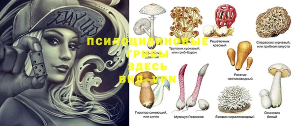 дживик Алексеевка