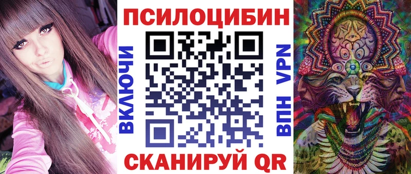 Галлюциногенные грибы мицелий  купить закладку  Курчалой 