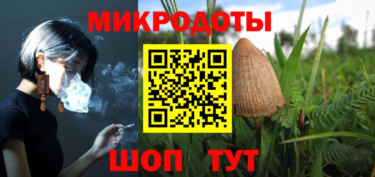 Курчалой  Псилоцибиновые грибы GOLDEN TEACHER  Вход с VPN  Псилоцибиновые грибы прущие грибы 